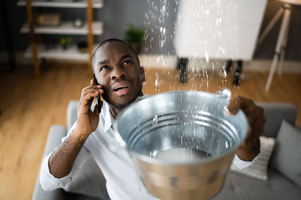 Best Sewage cleanup and water damage restoration  in Country Lake Estates, NJ