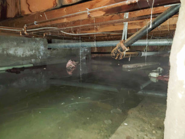  Country Lake Estates, NJ Water damage restoration Pros
