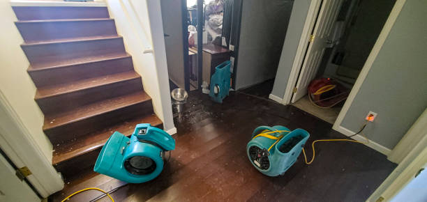 Professional Water damage restoration in Country Lake Estates, NJ