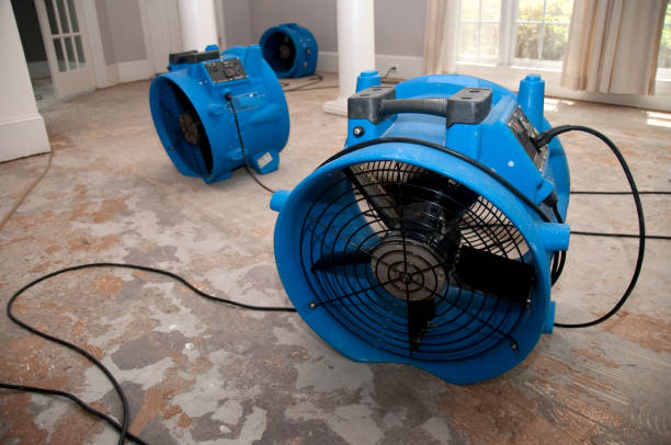 Best Local water damage restoration  in Country Lake Estates, NJ