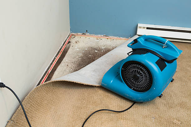 Best Flood damage cleanup  in Country Lake Estates, NJ